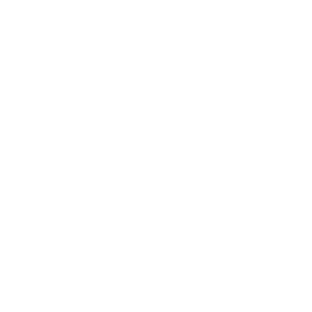 RBC Digital Logomark